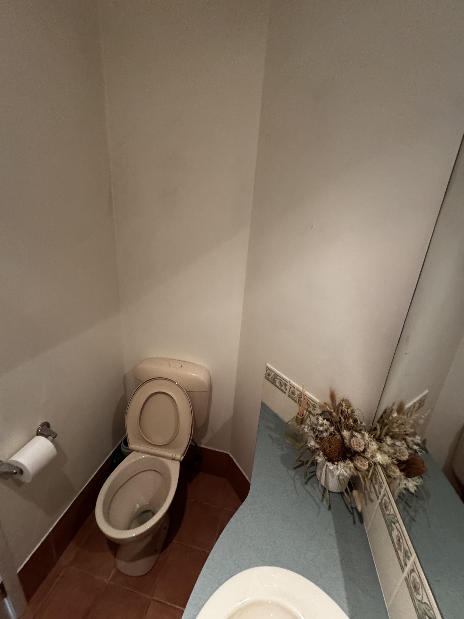 Torrens Park powder room before renovation, with the old toilet and laminate vanity top